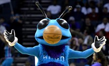 Hugo, la mascota de Charlotte Hornets